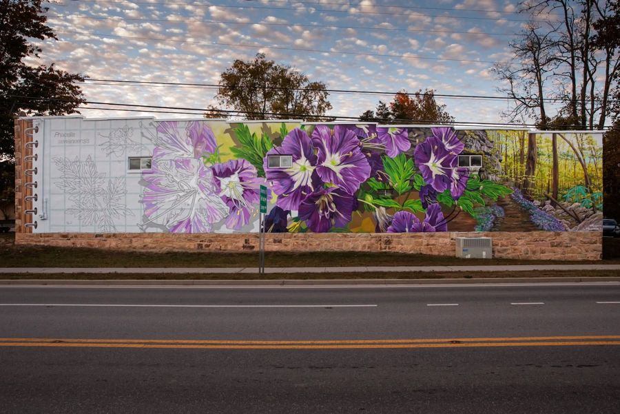 In Plain Sight by Megan Lingerfelt in Sewanee, Tennessee