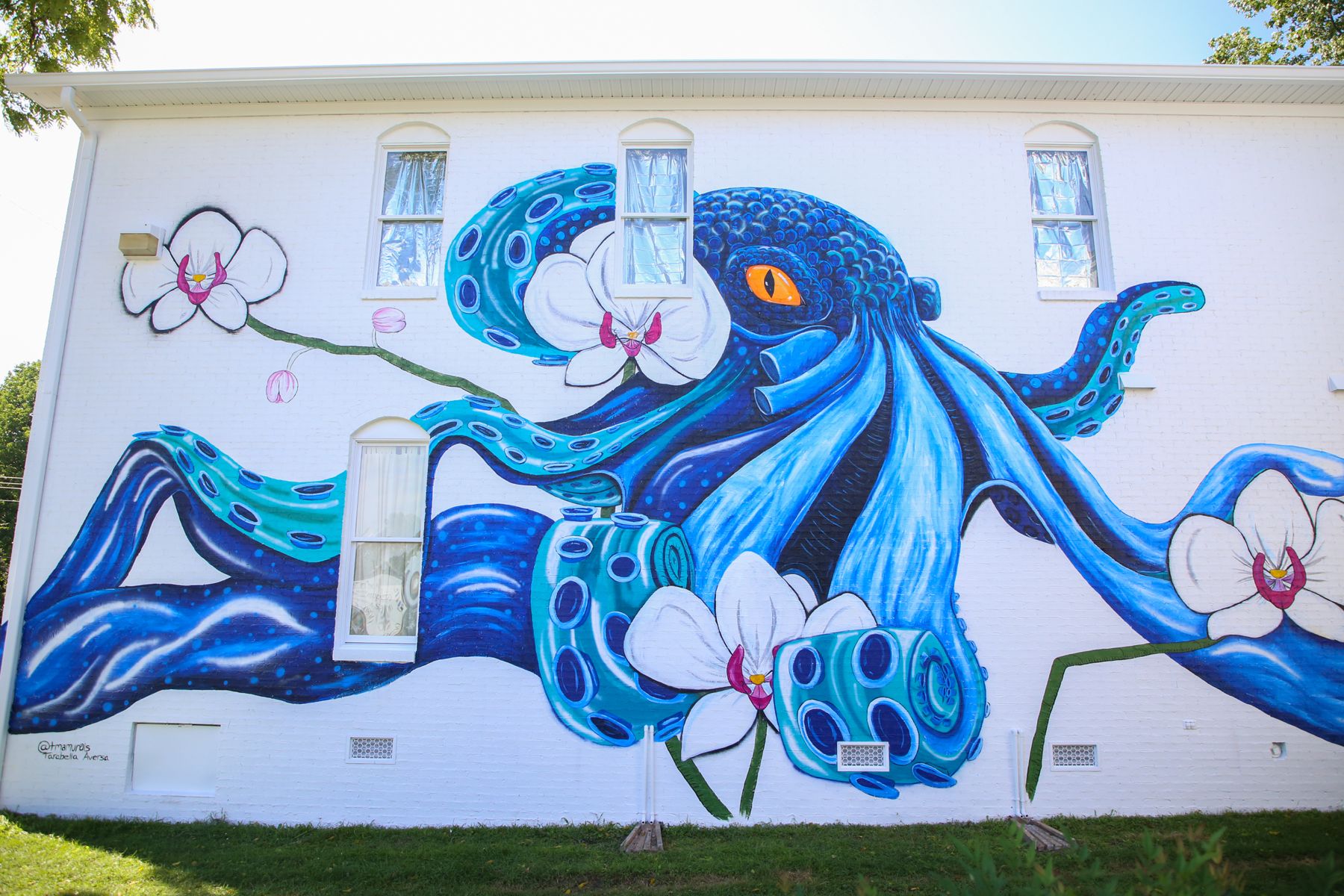 Bertha the Octopus by Tara Aversa in Tullahoma, Tennessee